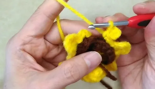 Two-color amigurumi turtle plushie pattern — photo 3